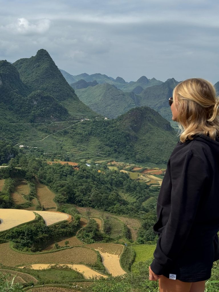 Aussicht auf Reisfelder