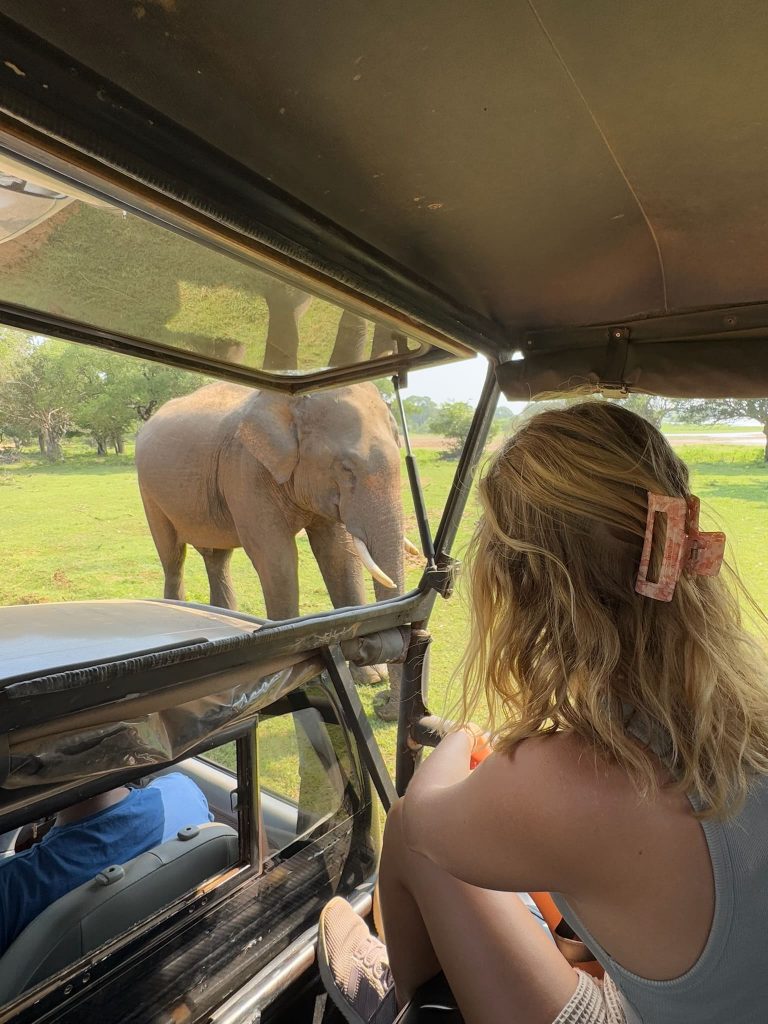 Elefant vor dem Tuk Tuk